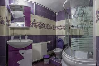 Гостевой дом Pensiunea Mihaela Новач-Стрэйни Трехместный номер с собственной ванной комнатой-5