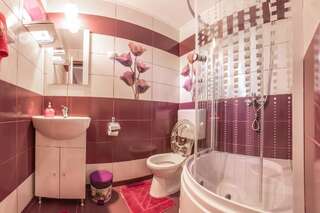 Гостевой дом Pensiunea Mihaela Новач-Стрэйни Двухместный номер с 1 кроватью и собственной ванной комнатой-13