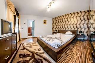 Гостевой дом Pensiunea Mihaela Новач-Стрэйни Двухместный номер с 1 кроватью и собственной ванной комнатой-14