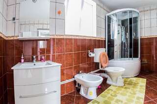 Гостевой дом Pensiunea Mihaela Новач-Стрэйни Двухместный номер с 1 кроватью и собственной ванной комнатой-16